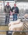 Champion Lambs Beltex x-5